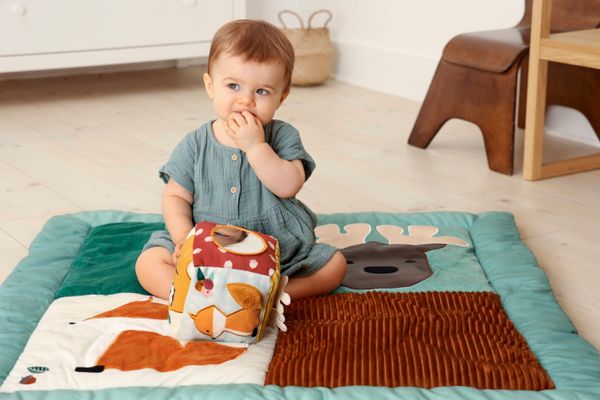 Aktivitetsterning - Skog