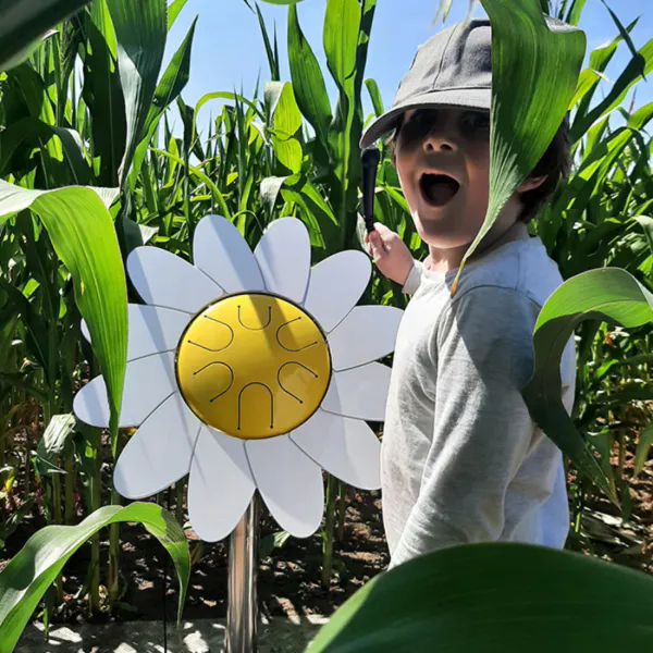 Petal Drum - Daisy