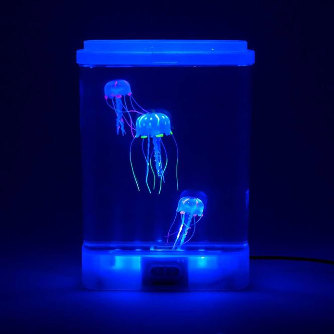 Hovedbilde Jelly Fish Glow Tank