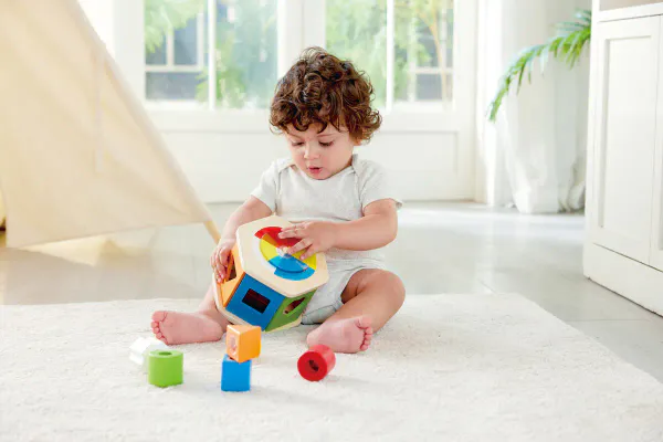 Hape Farge- og Formsorteringsboks