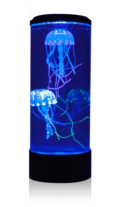 Hovedbilde Rundt akvarium med maneter – svart ...