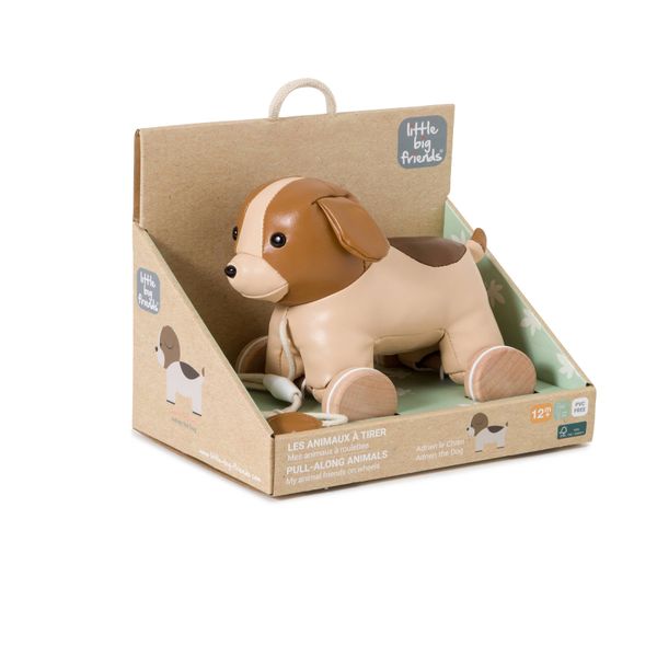 Trekkdyr - Adrien hunden